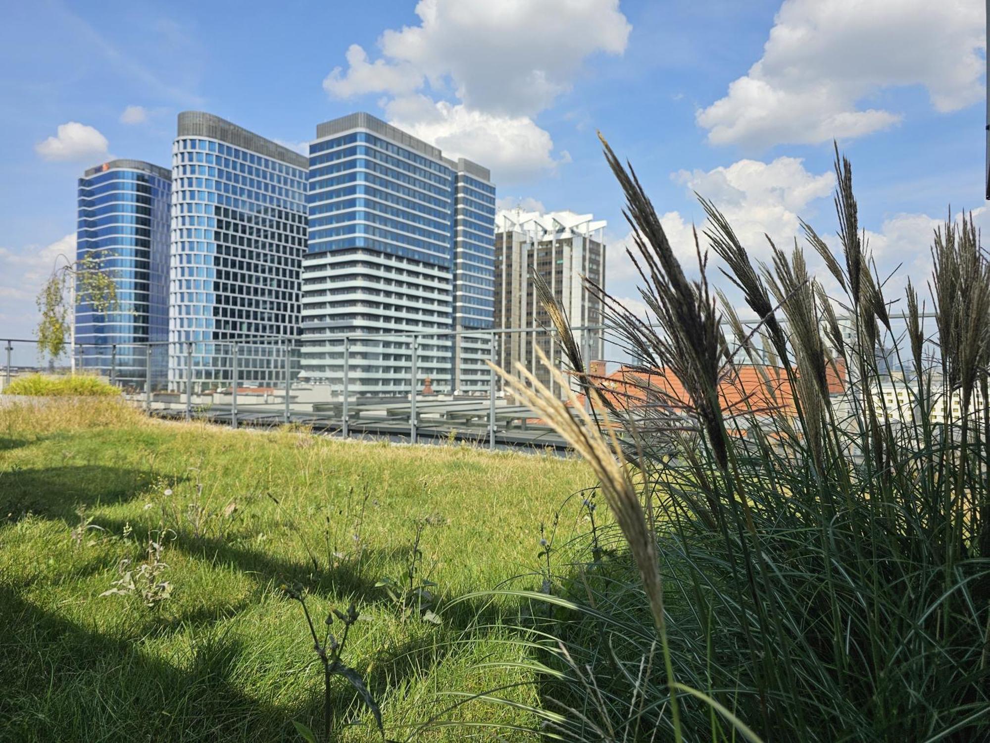 Urban Apartments Premium, Opolska 10 No 36, Free Garage, Self Check-In Katowice Extérieur photo